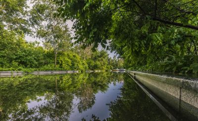 初夏的金河公园