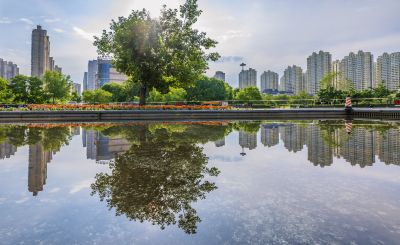 初夏的金河公园