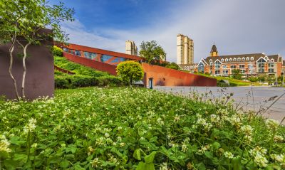 初夏的金河公园
