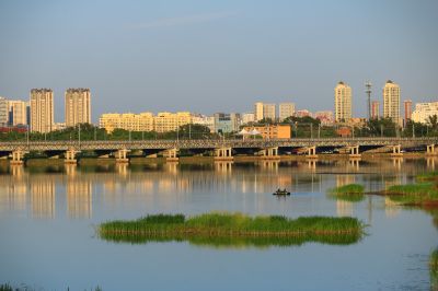 湿地风光