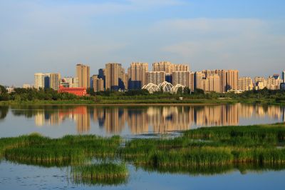 湿地风光