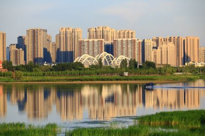 湿地风光