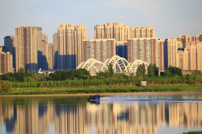 湿地风光