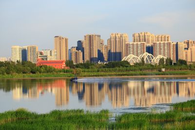湿地风光