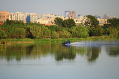 湿地风光