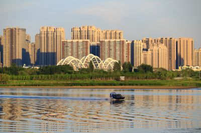 湿地风光
