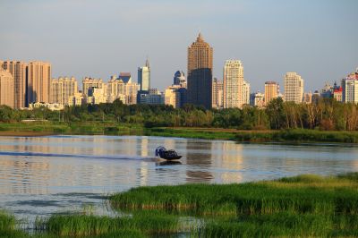 湿地风光