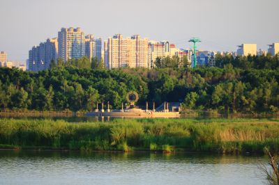 湿地风光