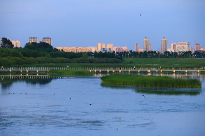 哈尔滨大剧院湿地风光
