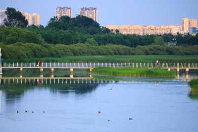 哈尔滨大剧院湿地风光