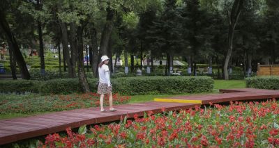 平房公园随拍