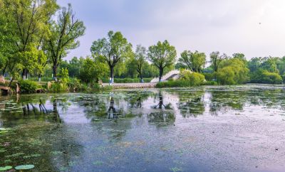 太阳岛的夏天