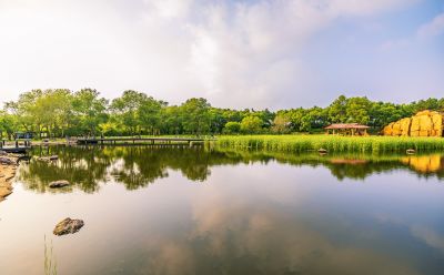 太阳岛的夏天