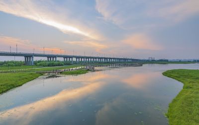 群力外滩湿地