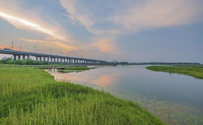 群力外滩湿地