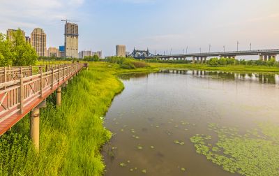 外滩湿地