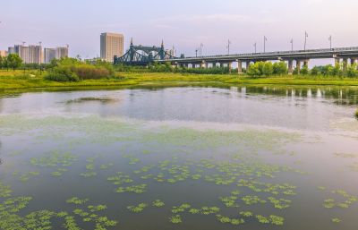 外滩湿地