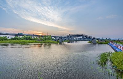 外滩湿地
