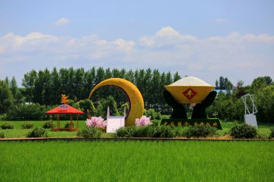 严家岗农场稻田美景