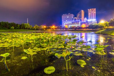 荷塘夜色