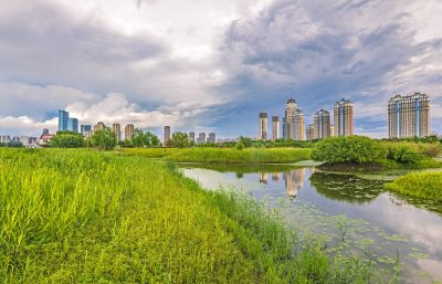 雨后的音乐公园湿地2