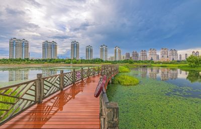 雨后的音乐公园湿地2