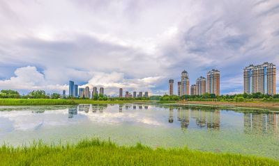 雨后的音乐公园湿地2