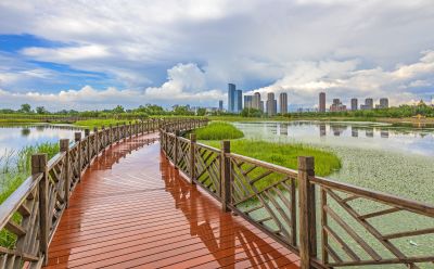 雨后的音乐公园湿地2