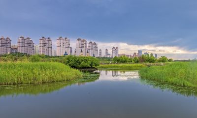 雨后的音乐公园