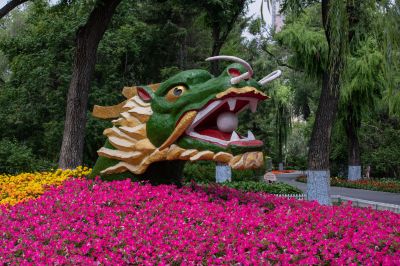 夏日的兆麟公园处处是鲜花