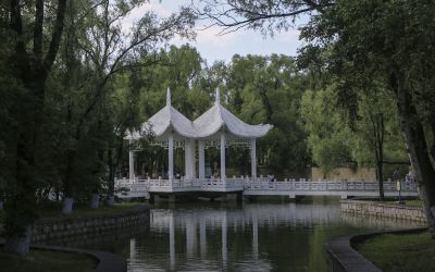 太阳岛随拍