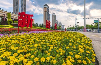 友谊西路外滩湿地