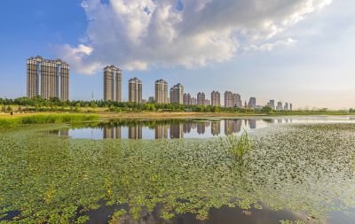友谊西路外滩湿地