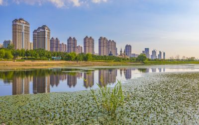友谊西路外滩湿地