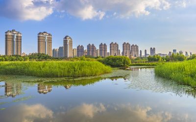 友谊西路外滩湿地