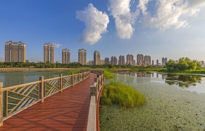 友谊西路外滩湿地