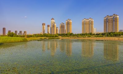 友谊西路外滩湿地