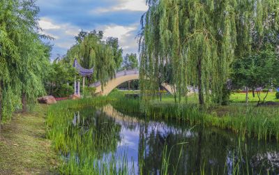 雨后中国亭园