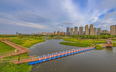 傍晚的外滩湿地