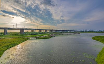傍晚的外滩湿地