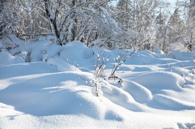 冰雪画廊