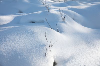 冰雪画廊