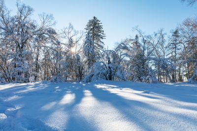 冰雪画廊