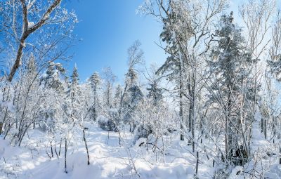 冰雪画廊