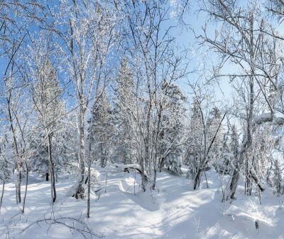 冰雪画廊