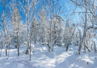 冰雪画廊