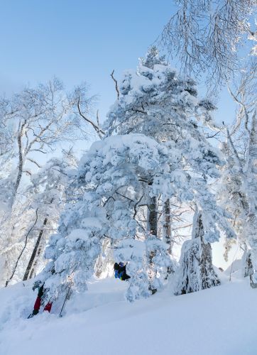 冰雪画廊
