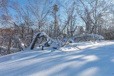 冰雪画廊