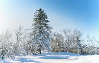 冰雪画廊