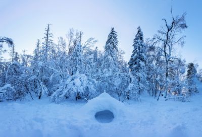 冰雪画廊